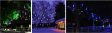 (image for) 0.8M Meteor Shower Rain Tubes Christmas Decorative String Light Led Lamp AC85-240V Holiday Light