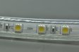 (image for) 5050 RGB 110V 120V 220V 230V LED Strip Rope Light 12MM 60LED 1M SMD 5050 RGB LED Strip Lights