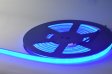 (image for) 10meter 32.8ft LED Neon Light 12V(optional 24V) Flexible LED Neon Light Strip