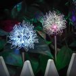 (image for) Dandelion Solar LED Garden Lights,2 Packs Outdoor Waterproof Decorative Lamp for Garden, Patio, Lawn, Party, Pathway Decoration