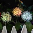 (image for) Dandelion Solar LED Garden Lights,2 Packs Outdoor Waterproof Decorative Lamp for Garden, Patio, Lawn, Party, Pathway Decoration