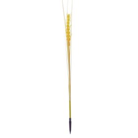 Outdoor Solar Wheat Ear Lamp Waterproof Garden Decoration Courtyard Light Sensing Simulation Wheat LED