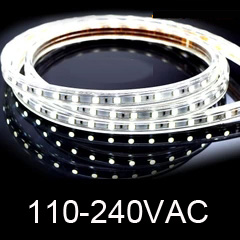 LED Rope(120/240V)