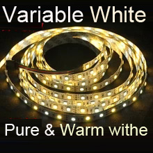 Variable White